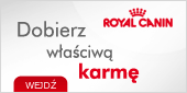 rcl_baner_wejscia