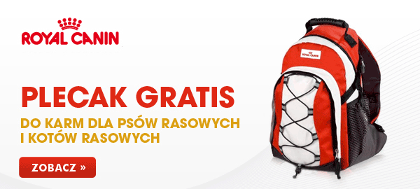 baner_top_rc_rasoweplecakgratis