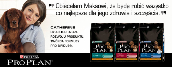 baner_top_pro_plan