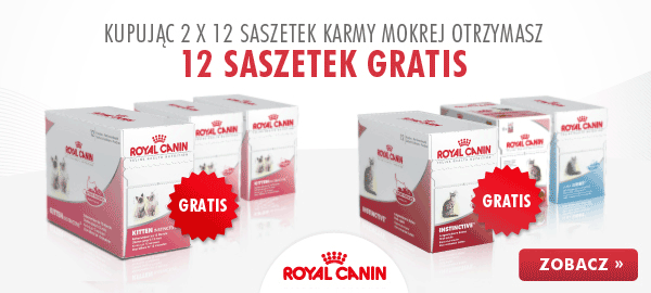 baner_top_rc_feline_2+1gratis