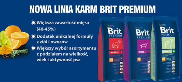 baner_top_britpremium