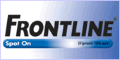 frontline