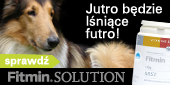 e fitmin_solution_sidebox_witaminy