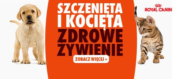baner_top_rc_szczenietaikocieta