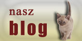 Nasz_blog