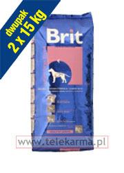 BRIT JUNIOR LARGE BREED
