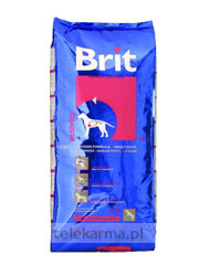 BRIT ADULT ACTIVITY
