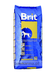 BRIT JUNIOR BRIT JUNIOR
