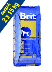 BRIT JUNIOR BRIT JUNIOR