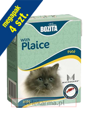 BOZITA CAT TETRA RECART Z FLĄDRĄ