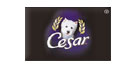Cesar Cesar