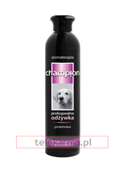 CHAMPION ODŻYWKA PROTEINOWA CHAMPION ODŻYWKA PROTEINOWA