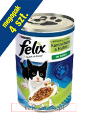 FELIX • KRÓLIK I KURCZAK W SOSIE • FELIX • KRÓLIK I KURCZAK W SOSIE •