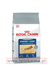 ROYAL CANIN ENERGY 4300