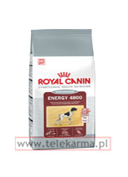 ROYAL CANIN ENERGY 4800