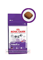 ROYAL CANIN GIANT ADULT