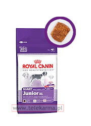 ROYAL CANIN GIANT JUNIOR