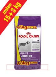 ROYAL CANIN GIANT JUNIOR