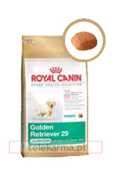  ROYAL CANIN BREED GOLDEN RETRIEVER JUNIOR