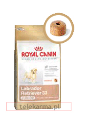  ROYAL CANIN BREED LABRADOR JUNIOR