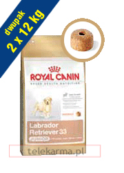  ROYAL CANIN BREED LABRADOR JUNIOR