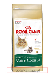 ROYAL CANIN FELINE BREED MAINE COON 31