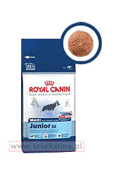 ROYAL CANIN MAXI JUNIOR
