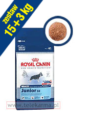 ROYAL CANIN MAXI JUNIOR