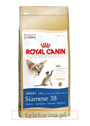 ROYAL CANIN FELINE BREED SIAMESE 38