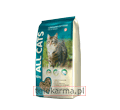 ALL CAT