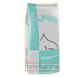ARION PREMIUM ADULT MAINTENANCE LARGE
