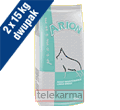 ARION PREMIUM ADULT MAINTENANCE LARGE