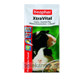 BEAPHAR XTRAVITAL POKARM DLA ŚWINKI MORSKIEJ