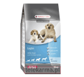 BENTO KRONEN NB LIGHT