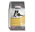 BENTO KRONEN NB GROWTH MEDIUM