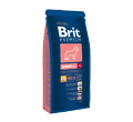 BRIT PREMIUM JUNIOR LARGE