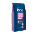 BRIT PREMIUM JUNIOR SMALL