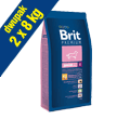 BRIT PREMIUM JUNIOR SMALL