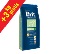 BRIT PREMIUM JUNIOR EXTRA LARGE