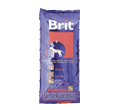BRIT ADULT ACTIVITY