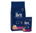BRIT PREMIUM CAT ADULT SALMON