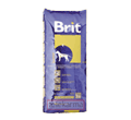 BRIT JUNIOR