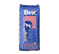 BRIT JUNIOR LARGE BREED