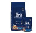 BRIT PREMIUM KITTEN CHICKEN
