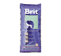 BRIT LIGHT & SENIOR