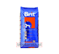 BRIT ADULT