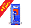 BRIT ADULT