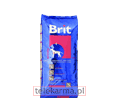 BRIT ADULT ACTIVITY