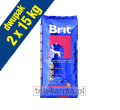BRIT ADULT ACTIVITY