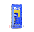 BRIT JUNIOR